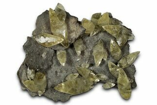 Double-Terminated Yellow Calcite Crystals on Matrix - Missouri #353652