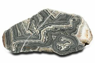 Polished Wyloo Agate Section - Australia #353691