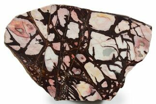 Polished Outback Jasper Section - Western Australia #353694