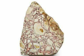 Huge, Free-Standing Polished Brecciated Mookaite Section #353695