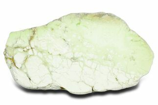 Polished Lemon Chrysoprase Section - Western Australia #353720