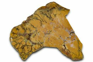 Polished Yellow Dendritic Opal Slab - Western Australia #353805
