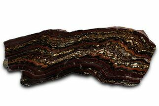 Polished Tiger Iron Stromatolite Section - Billion Years #353264