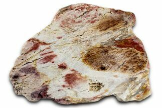 Colorful Polished Killaloe Opal Slab - Australia #353861