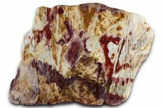 Colorful Polished Killaloe Opal Slab - Australia #353864