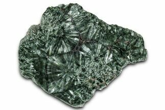 Polished Seraphinite Slab - Korshunovkiy Mine, Siberia #354253