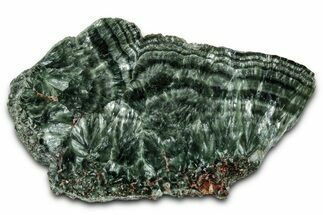 Polished Seraphinite Slab - Korshunovkiy Mine, Siberia #354270