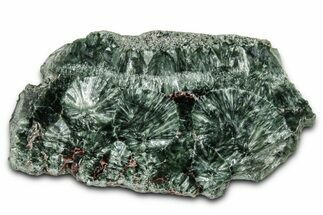 Polished Seraphinite Slab - Korshunovkiy Mine, Siberia #354278