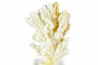 Pale Yellow Barite Crystal Cluster - Russia #354313