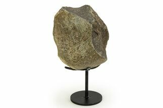 Fossil Sauropod Limb Bone Section with Metal Stand - Colorado #354328