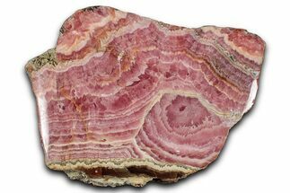 Polished Banded Rhodochrosite Section - Argentina #354502