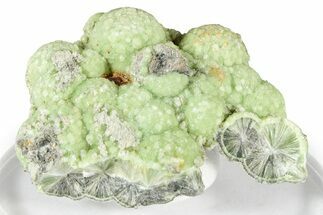 Sparkly Botryoidal Green Wavellite Formation - Arkansas #354586