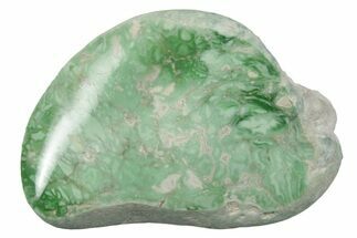 Polished Pastel Green Lucin Variscite ( g) - Utah #354644