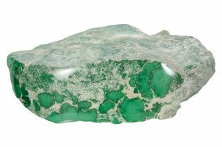 Polished Forest Green Lucin Variscite ( g) - Utah #354652