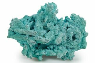 Vibrant Chrysocolla Pseudomorph - Lupoto Mine, DR Congo #354661