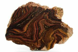 Polished Tiger Iron Stromatolite Slab - Billion Years #354897