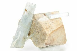 Buy Beryl