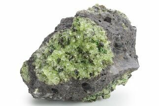 Peridot Crystals in Basalt - Arizona #355048