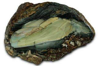 Polished Slab of Blue Mountain Jasper - Oregon #355269