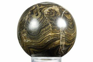 Polished Stromatolite (Greysonia) Sphere - Bolivia #355392