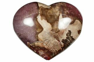 Polished Triassic Petrified Wood Heart - Madagascar #355581