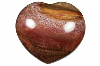 Polished Triassic Petrified Wood Heart - Madagascar #355583