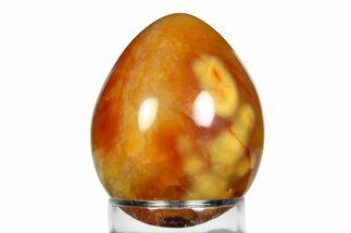 Vibrant Polished Carnelian Agate Egg - Madagascar #355469