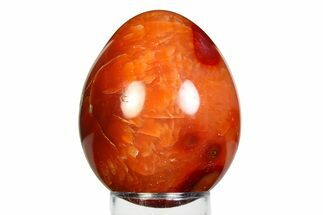 Vibrant Polished Carnelian Agate Egg - Madagascar #355473