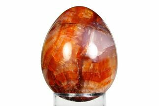 Vibrant Polished Carnelian Agate Egg - Madagascar #355477