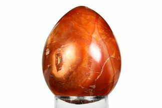 Vibrant Polished Carnelian Agate Egg - Madagascar #355478