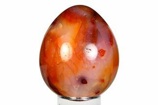Vibrant Polished Carnelian Agate Egg - Madagascar #355484