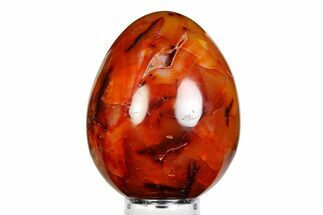 Vibrant Polished Carnelian Agate Egg - Madagascar #355497