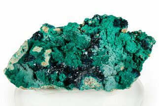 Sparkling Blue Veszelyite Cluster on Zincolibethenite - Congo #355927