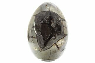 Septarian Dragon Egg Geode - Sparkly Black Crystals #355909