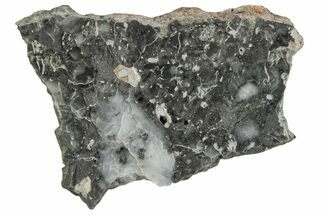 Polished Lunar Meteorite ( g) Slice - Adrar #355991