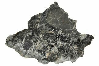 Polished Lunar Meteorite ( g) Slice - Adrar #355996