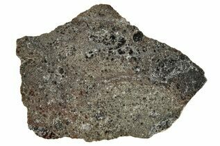 Ash Shaqqah 002 Meteorites For Sale