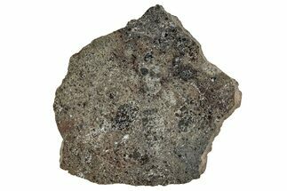 Polished Lunar Meteorite ( g) Slice - Ash Shaqqah #356003