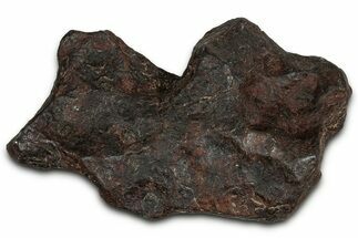 Canyon Diablo Iron Meteorite ( g) - Arizona #356013