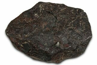 Canyon Diablo Iron Meteorite ( g) - Arizona #356020