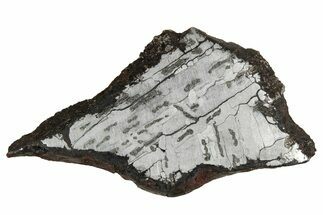 Etched Canyon Diablo Meteorite Slice ( g) - Arizona #356042