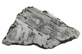 Etched Canyon Diablo Meteorite Section ( g) - Arizona #356044