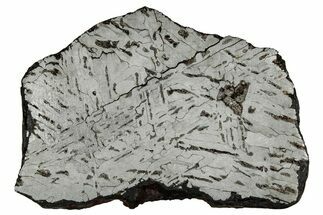 Etched Canyon Diablo Meteorite Slice ( g) - Arizona #356062