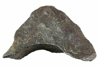 Canyon Diablo Iron Meteorite ( g) - Arizona #356092
