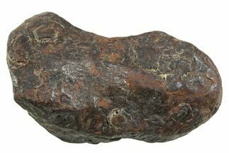 Canyon Diablo Iron Meteorite ( g) - Arizona #356096