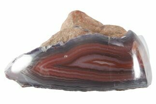 Colorful Polished Banded Agate - Zimbabwe #355900