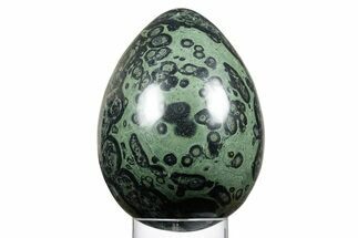 Polished Kambaba Jasper Egg - Madagascar #356146