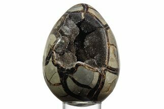 Septarian Dragon Egg Geode - Sparkly Black Crystals #356151