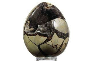 Septarian Dragon Egg Geode - Sparkly Black Crystals #356152