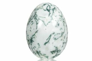 Polished Tree Agate Egg - India #356340